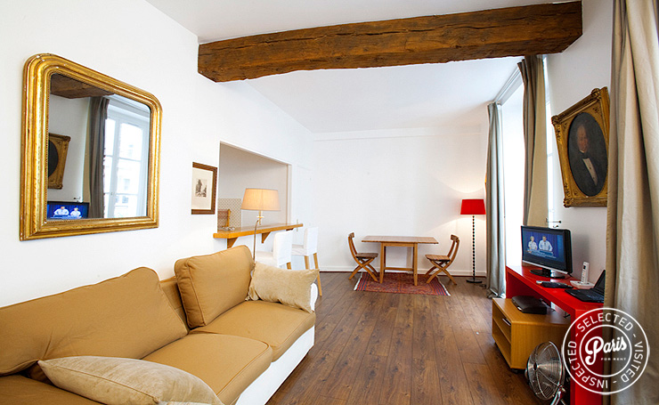 Sofa bed in living room at Seine, apartment for rent in Paris, Saint Germain